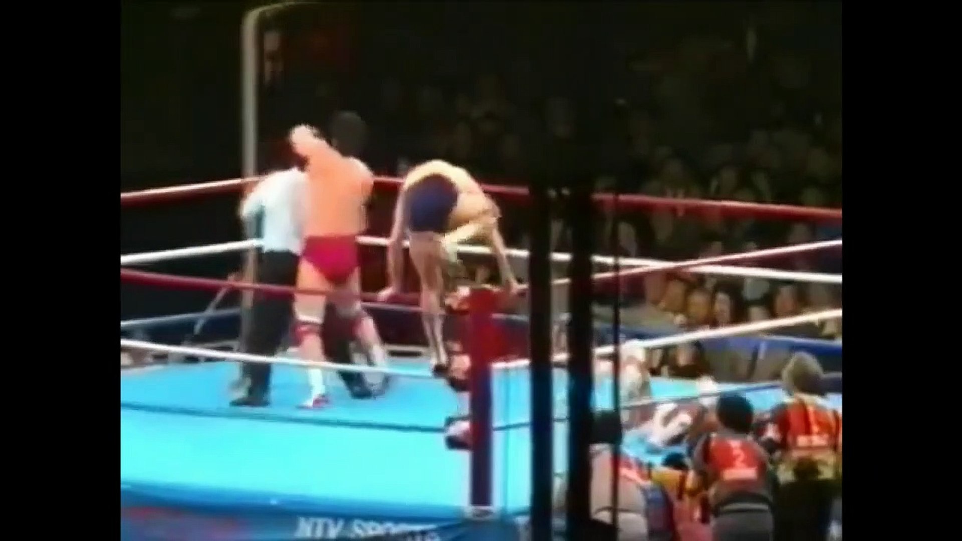 WWE/NJPW/AJPW WRESTLING SUMMIT 1990 Part 1 - video Dailymotion