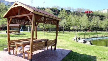 İSTANBUL Baharın müjdecisi erguvanlar göz kamaştırıyor