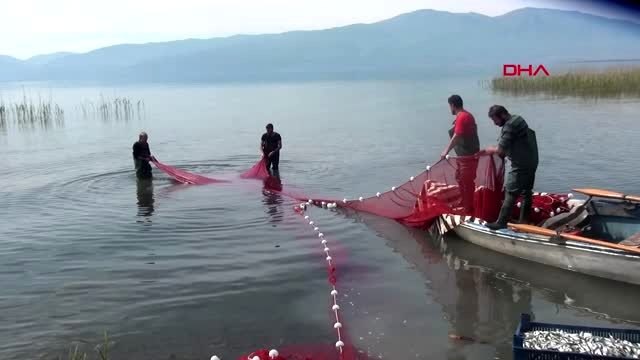 BURSA Koronavirüs salgını, gümüş balığı fiyatlarını da etkiledi