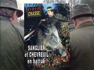 Sanglier et chevreuil en battue