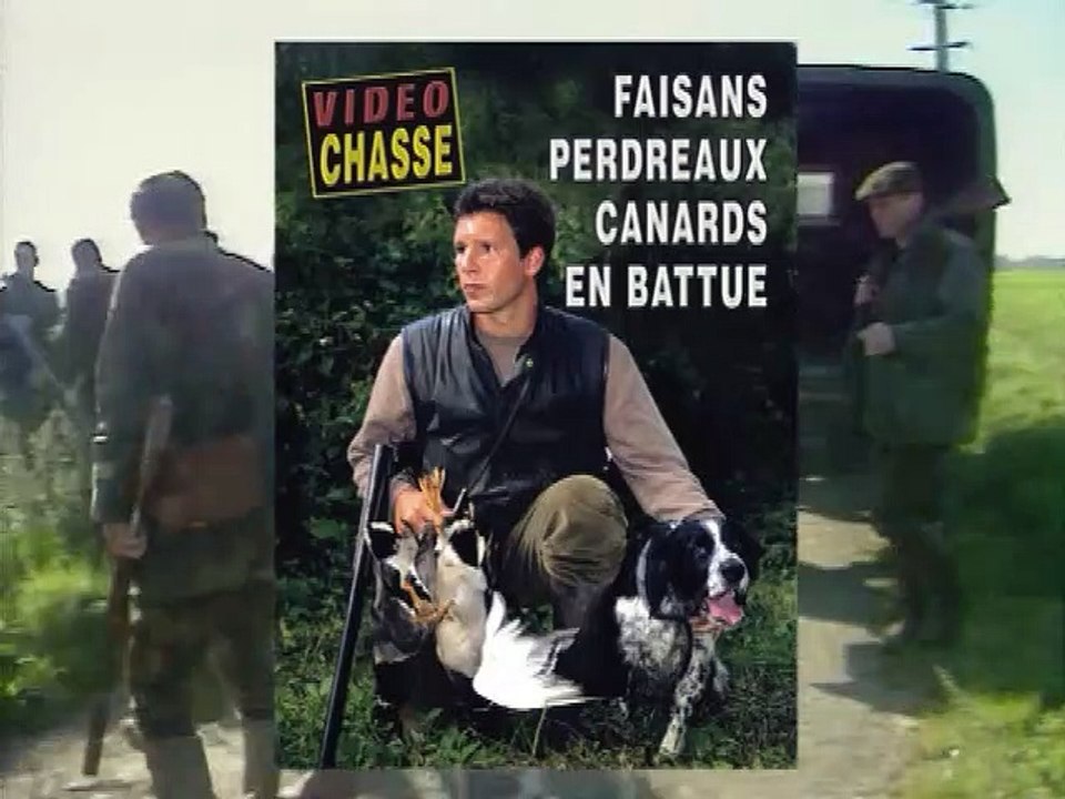 Faisans, perdreaux, canards en battue