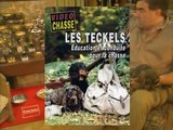 Les teckels : Education et conduite pour la chasse