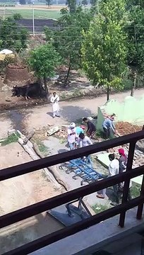 सहारनपुर ग्राम समाज की भूमि पर कब्जा ,बंदूक सहित वीडियो वायरल