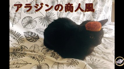 ネコに手作り帽子プレゼントのはずが、ケンカ勃発、猫の喧嘩って こんなだったっけ？