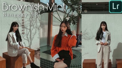 FREE Lightroom Presets 2020 | Brownish Mint