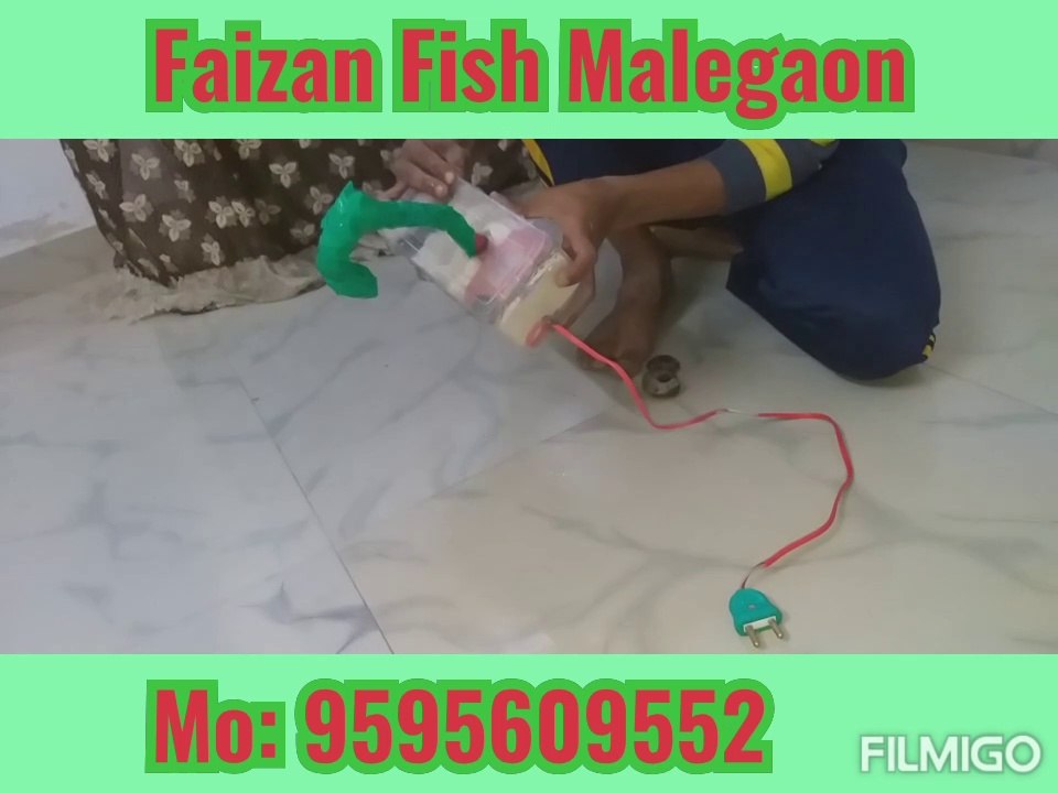 Home made aquarium filter.   DIY Filter