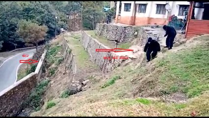 बंदरों के आतंक से निपटने के लिए ITBP के जवान बने भालू, फिर हुआ कुछ ऐसा, देखें Video