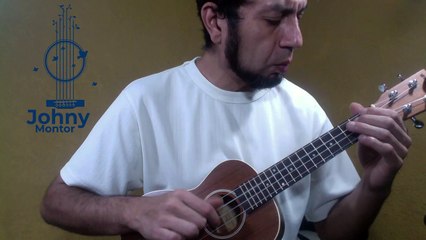 Minuete en G - J. Sebastian Bach  (Ukulele)