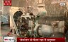 Uttar pradesh: कानपुर बना प्रदेश का सबसे प्रदूषण वाला शहर, देखें हमारी खास रिपोर्ट