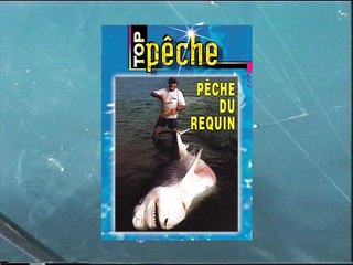 Pêche du requin