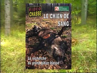 Le chien de sang : La recherche du grand gibier blessé