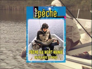 Pêche au mort manié