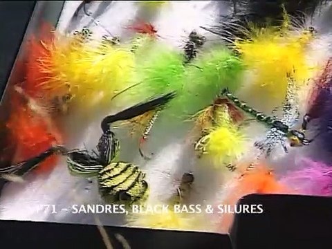 Sandres black bass silures Méquinenza