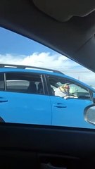 Riding in Style, this Chill Pooch Is