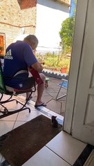 Man Serenades Adorable Kitten with His Guitar Skills