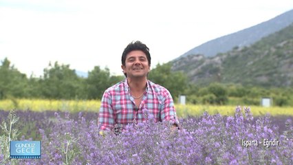 Gündüz Gece - Isparta/Kuyucak - 29 Temmuz 2017