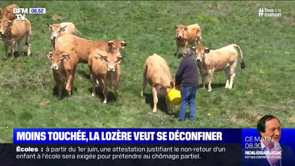 Avec un seul décès dû au coronavirus, la Lozère veut accélérer son déconfinement