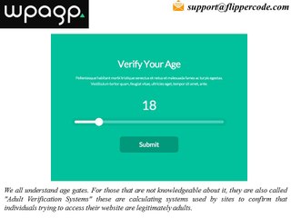 Exactly How Does Online Age Verification Service?