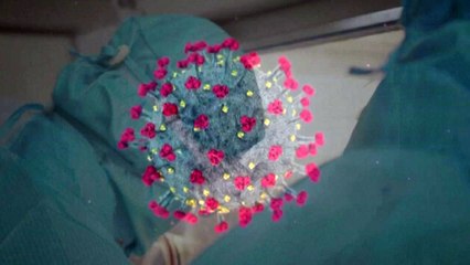 75일 만에 국내 확진자 '0명'...황금연휴 '고비' / YTN