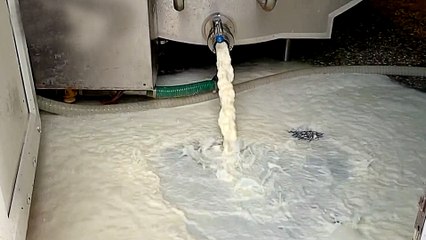 UK farmers forced to throw away fresh produce