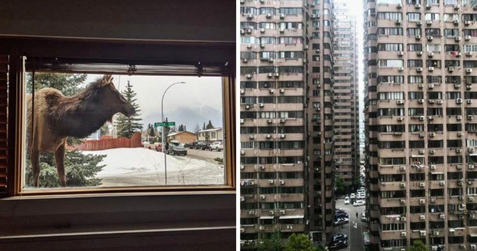 Des gens partagent la vue depuis leur fenêtre en confinement et c'est incroyable