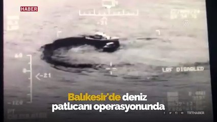 Deniz patlıcanı avlayan 33 kişiye 150 bin lira ceza