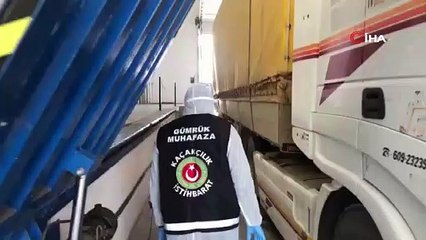 Kaçak yollarla yurda sokulmaya çalışılan bin 500 kraliçe arıya el konuldu