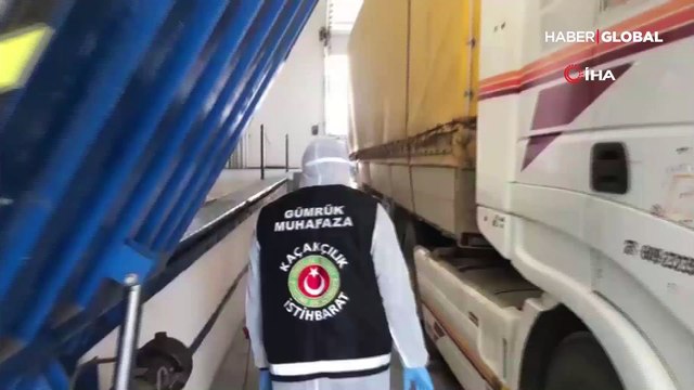 Sarp Gümrük Kapısı'nda bin 500 canlı kraliçe arı ele geçirildi