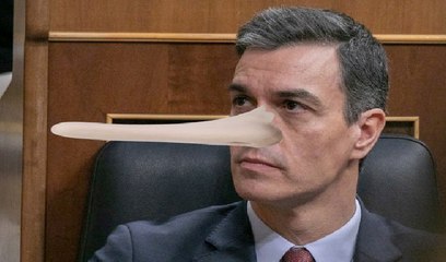 Pedro Sánchez Pinocho: cuando se es a la vez mentiroso e incompetente