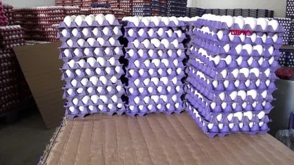 AFYONKARAHİSAR Koronavirüs yumurta tüketimini artırdı-TEKRAR