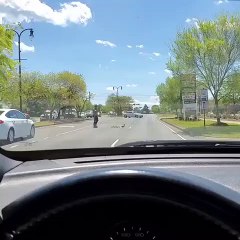 Ce policier aide des canards à traverser la route