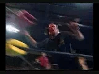 Wwe tribute