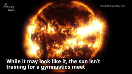 NASA Observatory Captures the Sun Doing a Somersault