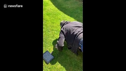 Man's hilarious take on the new 25 push-ups social media challenge