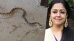 Jothika சொன்னது சரிதான் | 10 கட்டுவிரியன் பாம்பு | தஞ்சை கோயில்