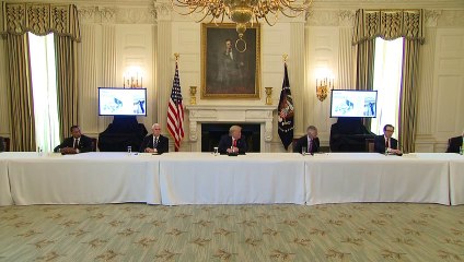 Trump diz que vai retomar viagens