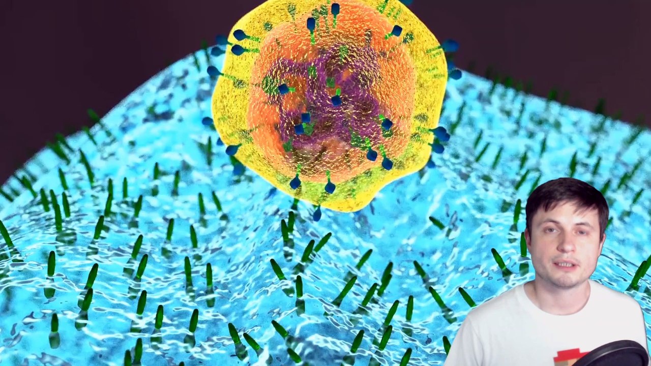 New Discoveries Try to Find Out Whether Viruses Could Have Extraterrestrial Origins