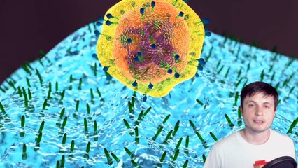 New Discoveries Try to Find Out Whether Viruses Could Have Extraterrestrial Origins