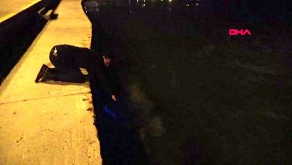 BÜYÜKÇEKMECE SAHİLİNDE MAVİ IŞIK HEYECANI