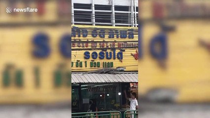Wild monitor lizard sparks panic after climbing on shop awnings in Bangkok