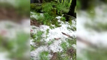 Etkili olan dolu ekili alanlara kısmen zarar verdi - KIRKLARELİ