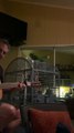 Singing Parrot Turns Cage into Stage