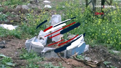 Polisi alarma geçiren mezar! İçinden köpek ölüsü çıktı