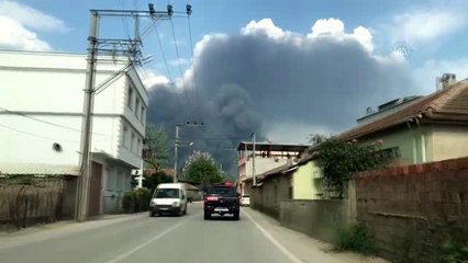 Soğuk hava deposunda yangın (1) - BURSA