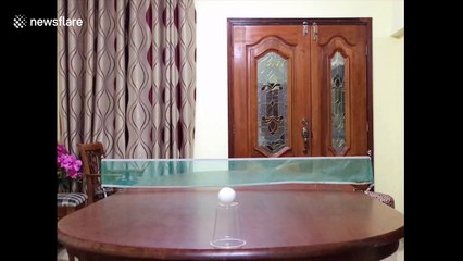 Epic table tennis move sees cup knocked over with nonchalant trick shot