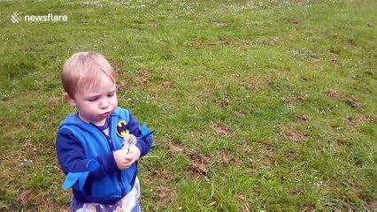 If at first you don't succeed... Adorable kid eats dandelion after blowing it fails