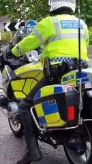 Polícia faz escolta a família de gansos numa estrada principal