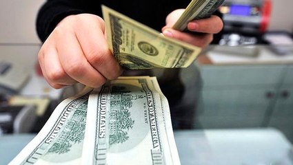Vatandaşların döviz mevduatları 17 Nisan-24 Nisan haftasında 980 milyon dolar azaldı