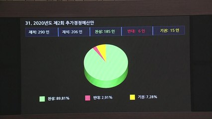 20대 국회, 막판 법안 처리 속도...2차 추경 통과 / YTN