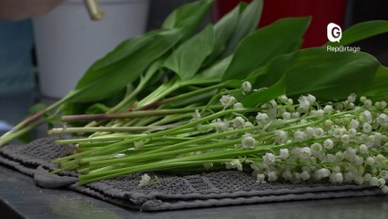 Reportage - Un brin de solidarité entre une fleuriste et les commercants